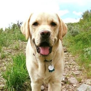 Meet your Posher, Leah